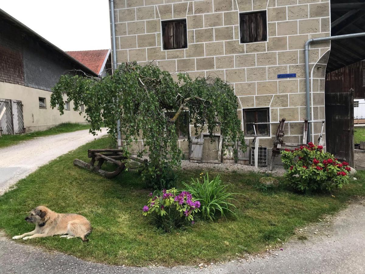 Pferdehof-Dietzsch Tittmoning エクステリア 写真